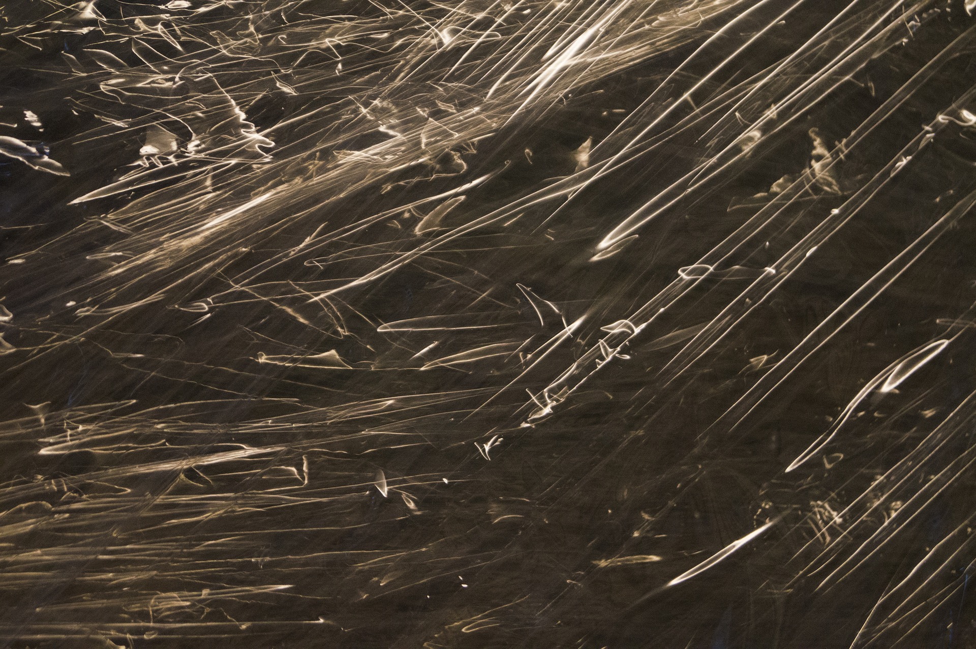 Innowacyjne Rozwiązania w Branży Opakowań Foliowych